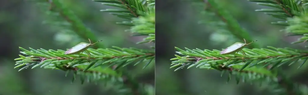 Vignettering i fotografi