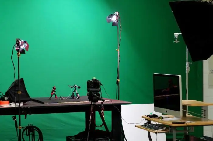 So entfernen Sie Stop-Motion