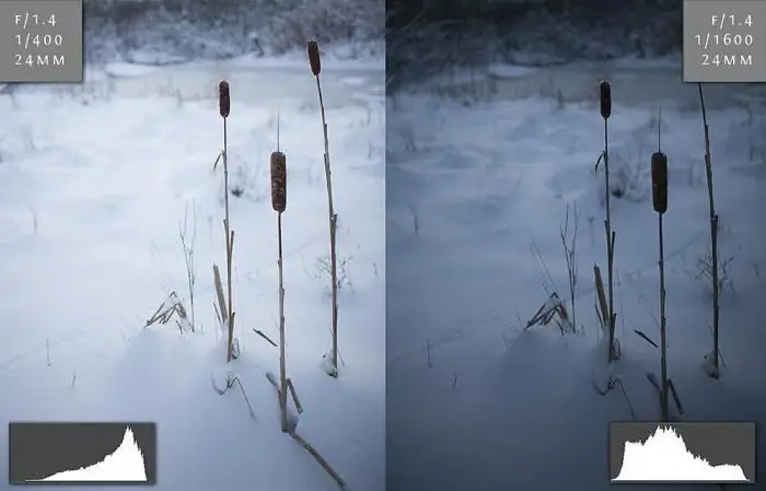 histograma en fotografía cómo usarlo al procesar fotos