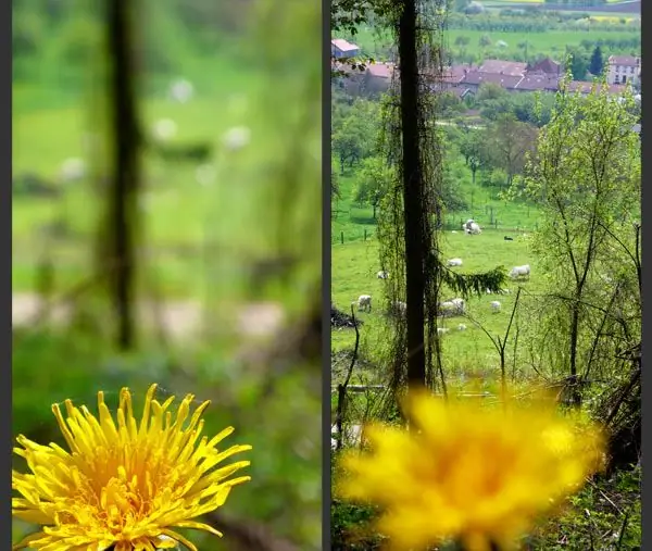 kako napraviti jasnu fotografiju od mutne