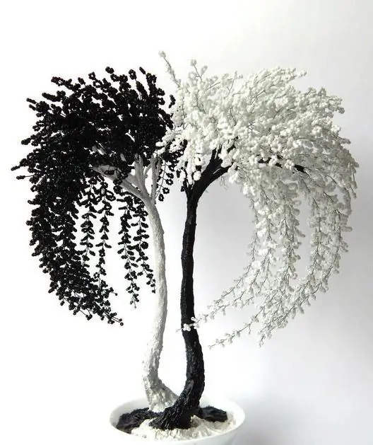 Beaded yin-yang tree: sunud-sunod na paglalarawan, mga diagram at rekomendasyon