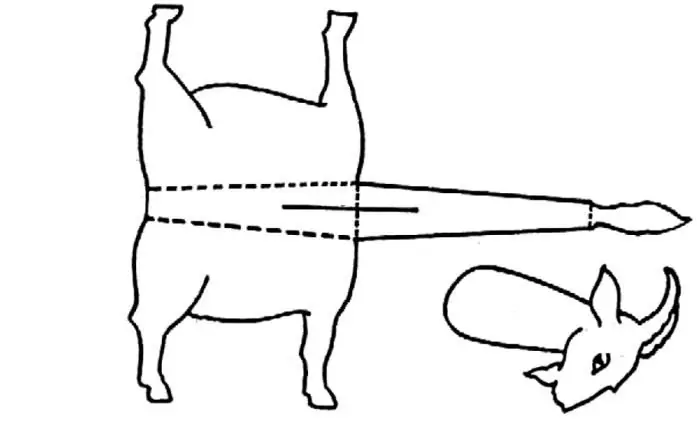 Chèvre à faire soi-même. Moutons et chèvres à faire soi-même: motifs, motifs