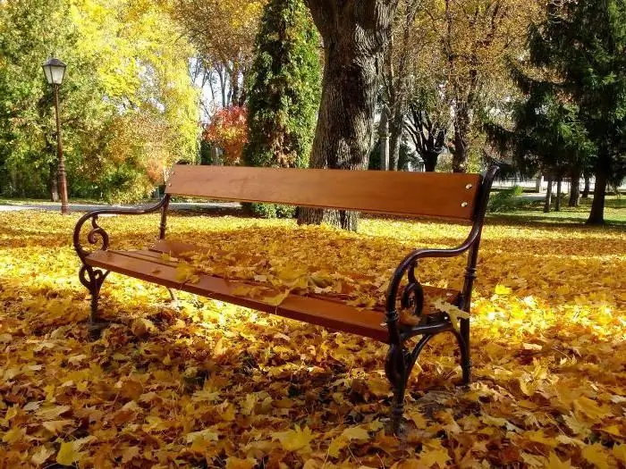 , séance photo de famille d'automne dans les idées du parc