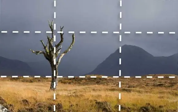 tri trećine vladaju u fotografiji