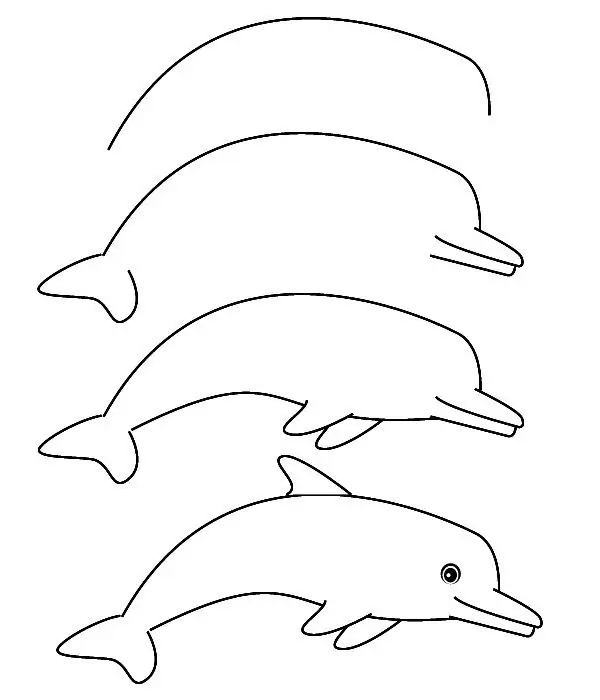 draw a dolphin