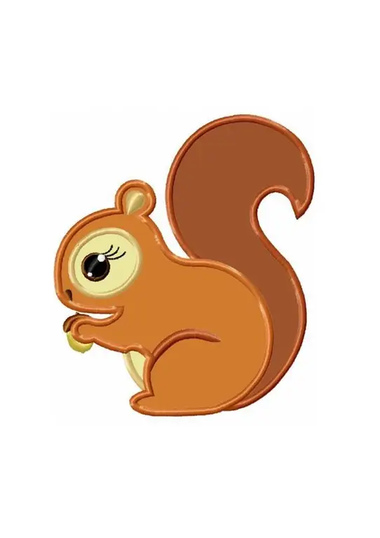 Application "Squirrel": step by step instructions, choice of materials and tips